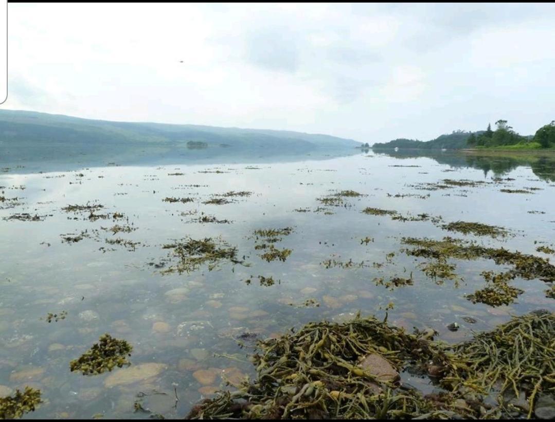 Quirky Lochside Home Inveraray Exteriér fotografie